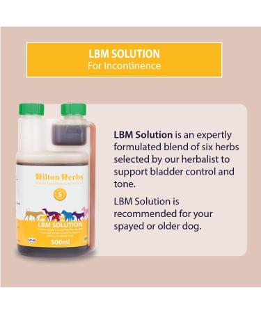 Buy Hilton Herbs LBM Solution for Dogs - 500 ml | Premium International Shipping - Buy Online on GoSupps.com