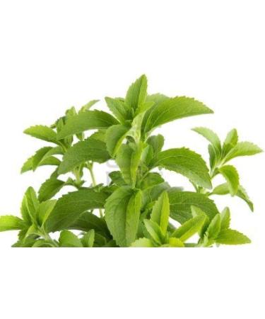 Herbal Magic's Pure & Natural Liquid Stevia Drops Sweetener - Free from PRESERVATIVES/ADDITIVES - 20ml - Buy Online on GoSupps.com