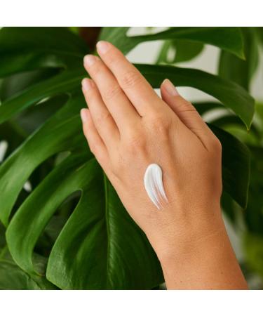 Weleda Bio Summer Boost Hand Cream - Limited Edition Natural Hand Care with Sesame Oil & Beeswax | Moisturizing Lotion with Citrus & Cardamom for Dry Hands (50ml) - Buy Online on GoSupps.com