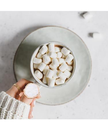 Palettes Annulaires pour Vernis Ongles 2 Pi ces Effet Coquillage Marbr Plateaux de M lange en Plastique Accessoires pour D coration Salon Manucure - Buy Online on GoSupps.com