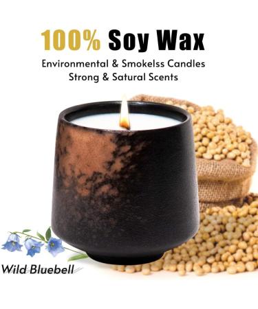 Wild Bluebell Scented Soy Aromatherapy Candle | 8 oz | 40 Hour Burn | Made with Essential Oils | Perfect Gift Box - Buy Online on GoSupps.com