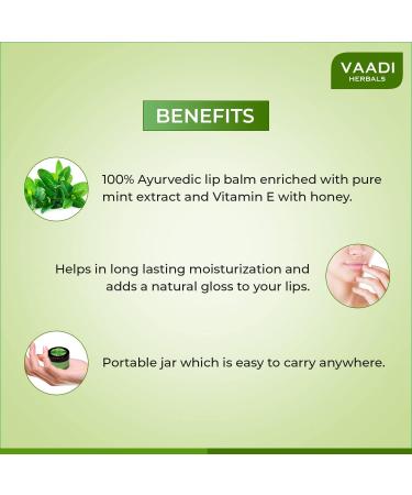 Lip Balm - Active UV Block - Mint Flavor - All Natural - Vaadi Herbals - Buy Online on GoSupps.com