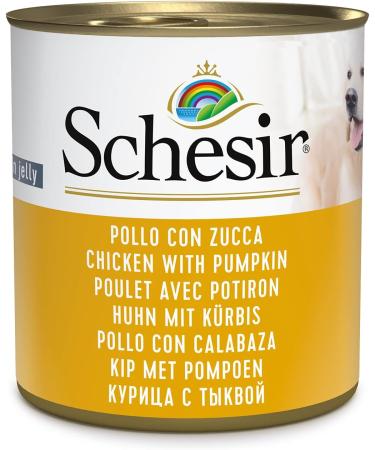 Schesir Wet Food for Adult Dogs with Chicken and Pumpkin Flavor Fillets in Soft Jelly - Total 4.56 kg (16 cans of 285G) - Buy Online on GoSupps.com