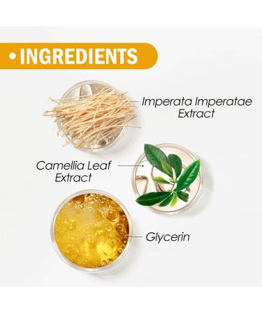 Mineral Sunscreen Setting Powder - Translucent Oil Control Face Powder for All Skin Types | Lightweight Long-Lasting Matte Finish - Buy Online on GoSupps.com