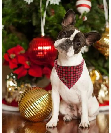 Shop Lionet Paws Christmas Bandana for Dogs - Triangular Headscarf in Black & Red Perfect for Small to Large Breeds - International Shipping Available! - Buy Online on GoSupps.com
