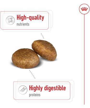 Royan Canin Dog Food No. 26 Maxi Nutrition Adult Biscuits for Large Dogs 10 kg - Buy Online on GoSupps.com