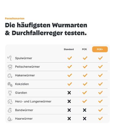 PEZZ Parascreen PCR+ Wurktest for Dogs | 11 Worm & Parasite Tests | Includes Free Lab Shipping - Buy Online on GoSupps.com