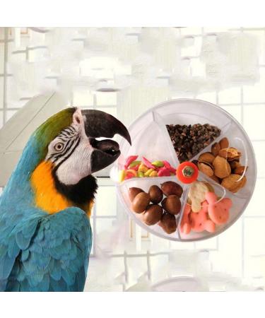 SQXALDM Rotatable Parrot Toy - Interactive Feeding Wheel for Birds | Enhance Intelligence & Playtime - Buy Online on GoSupps.com