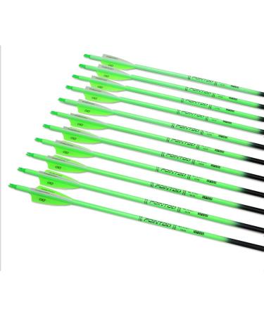 Pointdo 30 Carbon Arrow Fluorescent Green (12 Pack) - Targeting & Practice for Compound/Recurve Bow - Buy Online on GoSupps.com