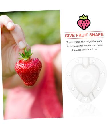 Mipcase 5pcs Fruit Shaping Mold Garden Tool Fruit Protection Cucumber Mold Vegetable Fruit Cucumber White - Buy Online on GoSupps.com