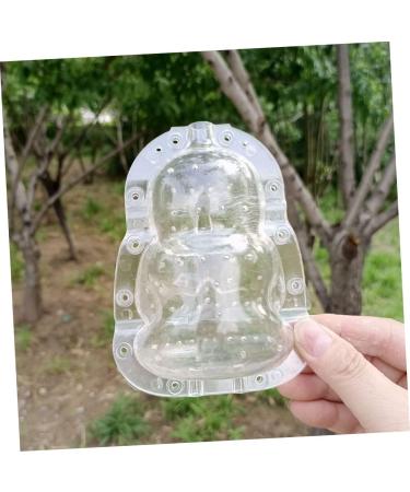 HOMSFOU 8 Pcs Vegetable Shaping Mold Fruit Growing Mold Planting Molds Fruit Shaping Tool Fruit Forming Molds Vegetable Forming Mould Pumpkin Growing Mold Fruit Mould Tool Apple Pear Melon - Buy Online on GoSupps.com