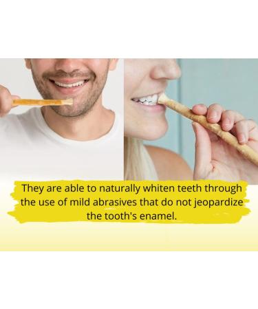Natural Miswak Chewing Sticks - Peelu Toothbrush for Whiter Teeth (Pack of 3) | International Shipping Available - Buy Online on GoSupps.com