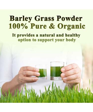 Naveta Barley Grass Powder 100% Pure & Organic Naveta Pure Organic Barley Naveta Organic Barley Grass Powder All Natural Ingredients Easy to Use and Carry (2 box) - Buy Online on GoSupps.com