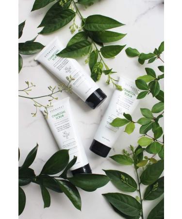 Dermanat Charcoal Scrub with Activated Charcoal Aloe Vera and Collagen | Deep Clean exfoliating scrub | For all skin types | 4 Fl Oz - Buy Online on GoSupps.com