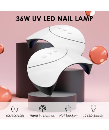 VANREESA Poly Nail Gel Kit with UV Lamp - 5 Colours Poly Nail Extension Set for Women - Buy Online on GoSupps.com