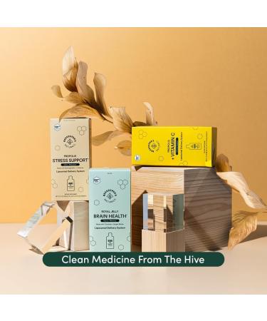 Ashwagandha Liposomal Stress Support by Beekeeper's Naturals 600mg with Propolis L-Theanine Anti-Stress Support for Calm & Relaxation 10ct 10 Count (Pack of 1) - Buy Online on GoSupps.com