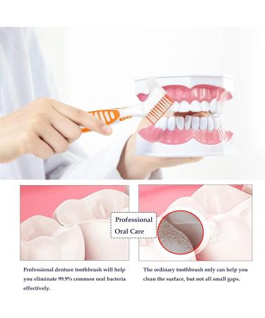 4Pcs Denture Brush Retainer Brush Denture Toothbrush Portable Denture Cleaning Brush Double Bristle Head Denture Brush False Teeth Brush for Cleaning Retainers (Blue Purple Green Orange) - Buy Online on GoSupps.com