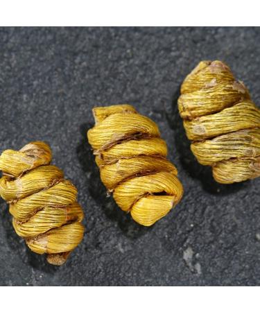 Dendrobium Officinale Maple Bucket Herba Dendrobium Candidum Tiepishihu Herba Dendrodii Officinalis Dendrobium Officinale Kimura Et Migo nature pure wild (1000grams) - Buy Online on GoSupps.com