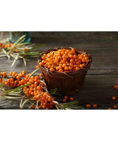 Organic Sea Buckthorn Powder 500g - Raw & Natural Healthy Superfood - Buy Online on GoSupps.com