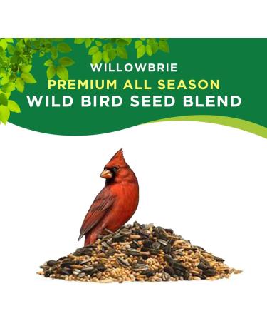 Premium Wild Bird Seed | Willowbrie Bird Seed | Birdseed for Outdoor Feeders | Wild Bird Food | Wild Bird Feed | 5lb Bag - Buy Online on GoSupps.com