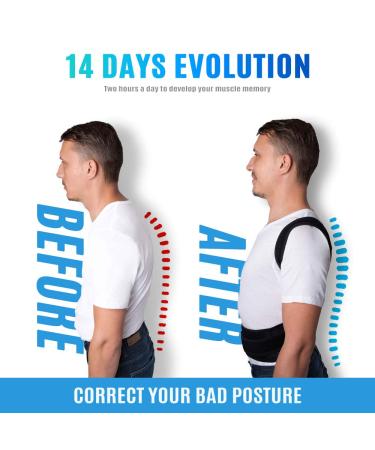 XL Posture Corrector Back Brace for Men and Women - Support Belts for Lower and Upper Back Pain Relief (1 Pack) - Buy Online on GoSupps.com