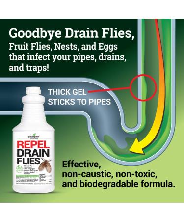 Covington Drain Fly Repellent | Eliminate Drain Flies in Kitchen & Bathroom Sinks | Effective Drain Fly Treatment - Buy Online on GoSupps.com