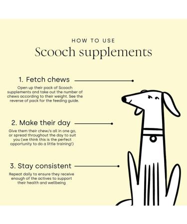 Scooch Anal Gland Supplement for Dogs | Human Grade Crunchy Chews | Stops Scooting & Itching | Plant-Based with Prebiotics | Promotes Digestion | Banana + Pumpkin Flavor - Buy Online on GoSupps.com