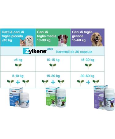 Zylkene Plus Complementary food | Dogs from 10 kg to 30 kg | Relaxing for recurring uncomfortable situations | 30 capsules of 225 mg - Buy Online on GoSupps.com