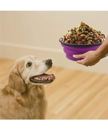 MOACC 2-Piece Foldable Silicone Dog Bowl - Travel Bowl for Dogs & Cats - Safe Water & Feed Bowl with Mountain Staligs Buckle (1000ml Purple & Green) - Buy Online on GoSupps.com