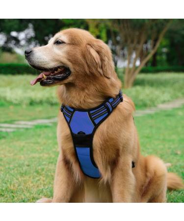 Rabbitgoo Dog Harness for Medium Dogs | No Pull Adjustable & Breathable | Safe Control Harness with Reflective Stripes | Blue (1 Pack) - Buy Online on GoSupps.com