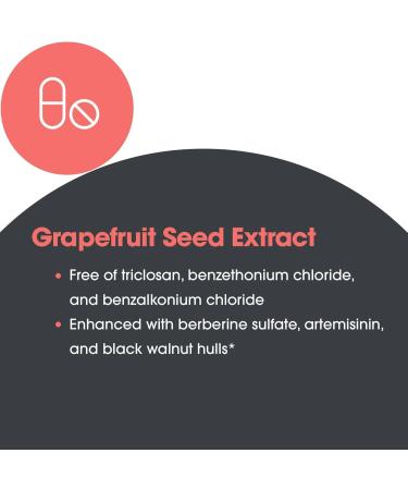 Allergy Research Group Tricycline - GI Balancers Gut Health Berberine Sulfate Artemisinin Citrus Seed Extract Black Walnut Hulls Gluten Free Vegetarian Capsules - 90 Count - Buy Online on GoSupps.com