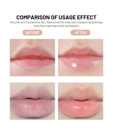 FREEORR 2Pcs Lip Plumper Gloss - Hydrating Lip Oil with Green Tea & Vitamin E for Fuller, Elastic Lips - Buy Online on GoSupps.com