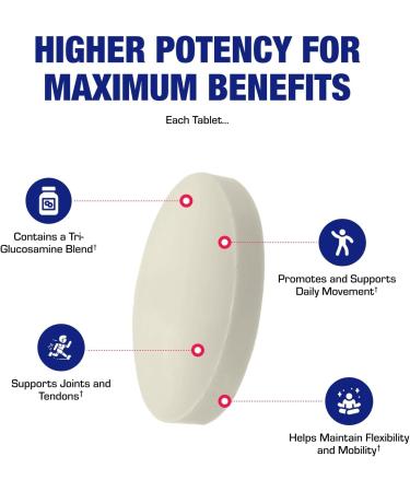 High Absorption Glucosamine Chondroitin MSM - Clinical Formula Bone Joint Tendon and Ligament Supplement with MSM Glucosamine Chondroitin - Non-GMO Gluten Free & Made in The USA - 120 Servings - Buy Online on GoSupps.com