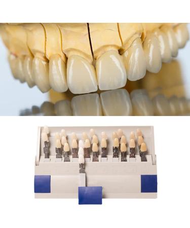 ZJchao Teeth Shade Guide - 29 Removable Color Comparison Chart for Teeth Whitening | International Shipping Available - Buy Online on GoSupps.com