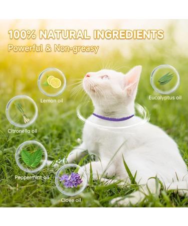 Cat Repellent Treatment Adjustable Cat Repellent Collars Natural Protection Repellent Collar for Cats Water Resistant Repellent Collar for Cats Small-Medium-Large Purple 1pack - Buy Online on GoSupps.com