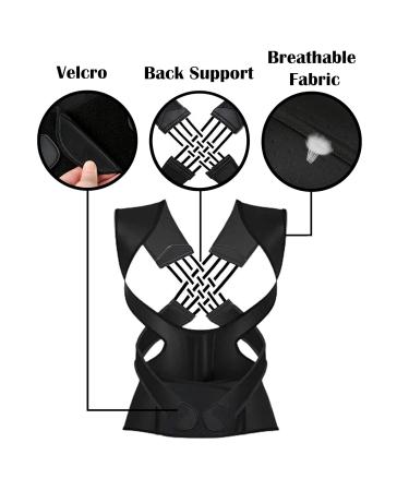 Back Brace Pads for Men and Women Breathable Back Brace Pads for Gently and Comfortably Wear Easy to Wear & Elasticity Adjustable for Home Office Leisure Study Driving Sports (M) - Buy Online on GoSupps.com