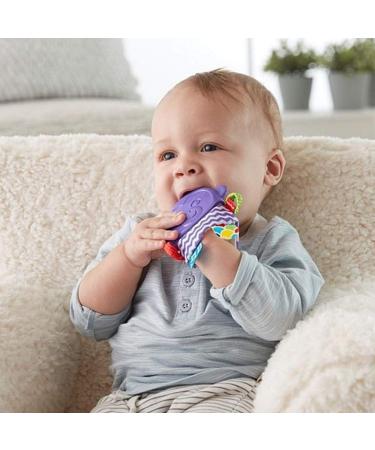 Fisher-Price Monkey Teething Pal - Soothing Teether for Babies - Buy Online on GoSupps.com
