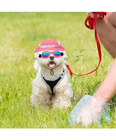 Sebaoyu Dog Hat and Sunglasses Set - Pink#2 Small | Summer Pet Baseball Cap with Visor and Goggles for Small Medium Breed - Buy Online on GoSupps.com