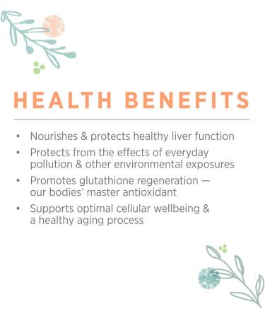 Pure Synergy Cell Protector - 120 Capsules for Optimal Health & Antioxidant Support - Buy Online on GoSupps.com