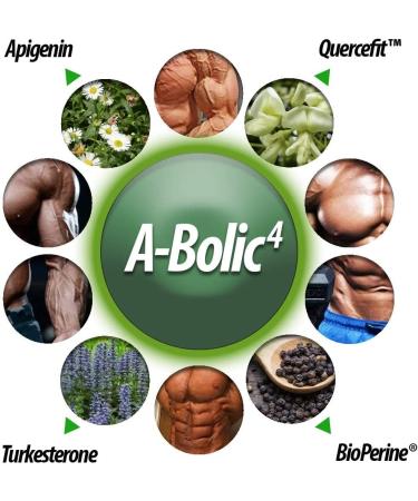 A-Bolic4 Advanced Anabolic Boost Supplement | Turkesterone, Apigenin, Quercefit Quercetin | 120 Capsules - Buy Online on GoSupps.com