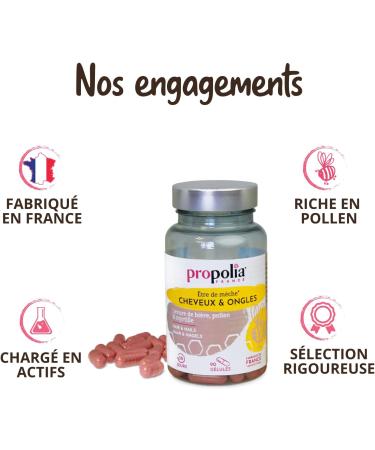 PROPOLIA - Hair & Nails - Fortification & Growth - Dietary supplement - Pollen Brewer's yeast Blueberry - Vitamins B5/B6/B8 & Zinc - Made in France - 90 capsules - 1 month cure - Buy Online on GoSupps.com
