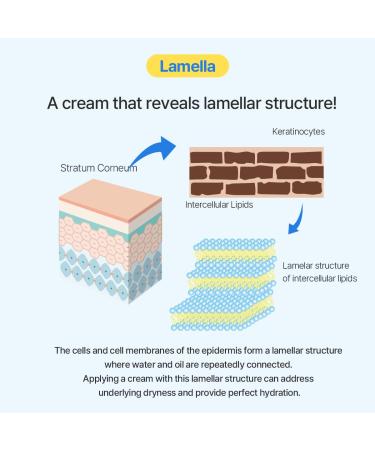 punbaki Blue Panthenol Soothing Cream 50ml / 1.69 fl. oz. Even skin tone moisturizing and soothing care moisturizer - Buy Online on GoSupps.com