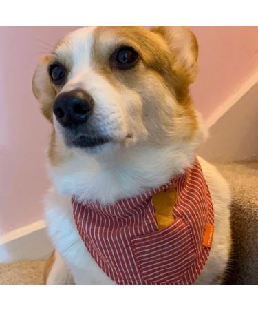 MUDLESS Dog Bandana Pet Scarf - Medium AquaBlaze Neckerchief for Comfort and Breathability - Buy Online on GoSupps.com