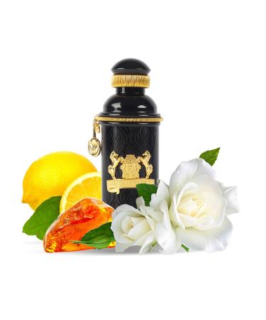 Alexandre J Black Muscs Eau de Parfum Spray for Women 3.4 Ounce - Buy Online on GoSupps.com