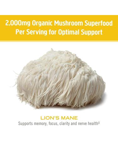 OM Lion's Mane Mushroom 667mg 75 count - Buy Online on GoSupps.com