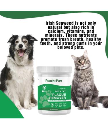 Pooch & Purr Plaque Off Remover For Dog/Plaque Off Cats. Plaque Off Powder For Dogs No Tooth Brush or Toothpaste Needed. Dog & Cat Teeth Cleaning. Dog Plaque Remover Fights Tartar & Bad Breath. - Buy Online on GoSupps.com