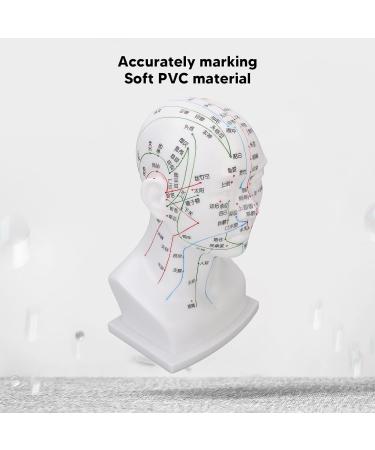 Buy Acupuncture Head Model with Point Markings | Ideal for Facial Treatments & Training Props - 11.8 inches Soft PVC - Buy Online on GoSupps.com