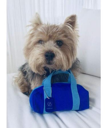 Diabetic Supply Bag for Insulin & Glucose Monitoring - Mini Duffle Bag Design - Blue - Buy Online on GoSupps.com