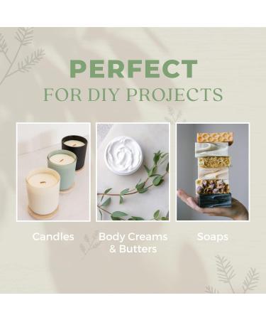 Cypress Essential Oil 100% Pure & Natural Therapeutic Grade Essential Oil for Aromatherapy Diffusers Undiluted for Healthy Skin & Hair Growth Ideal for Bedroom Living Room Office 1oz Cypress 1 Fl Oz (Pack of 1) - Buy Online on GoSupps.com