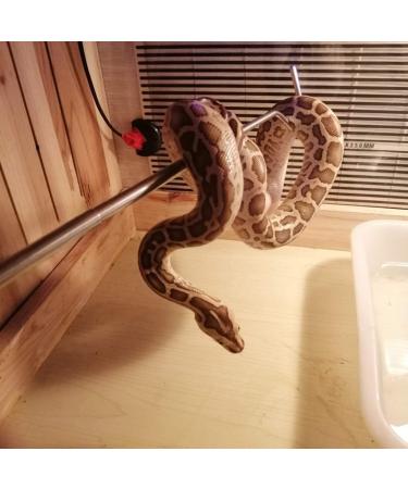 Cabilock Collapsible Snake Grabber Stick - Professional Stainless Steel, Extendable 68cm, for Reptile Handling, Home Garden and Outdoor Use - Buy Online on GoSupps.com